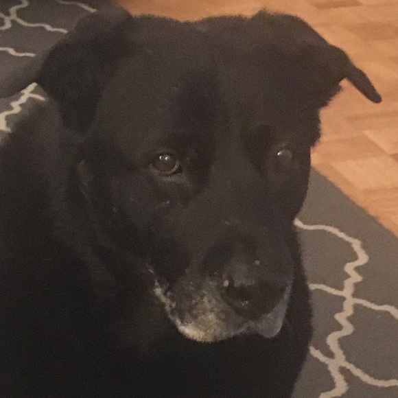 Meet your Posher, Erin - Picture 1 of 1